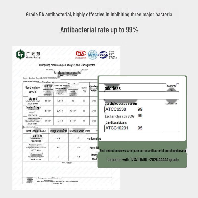 Ariel & Aurora High-Waist Antibacterial Teen Girls' Underwear 4-Pack