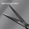 Deli DP721 Stainless Steel Scissors