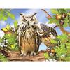 Полный 5D Diy Алмазная картина Кокетливая Сова Вышивка Крестом Домашний Декор Ручной Подарок
