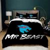 Набор из 3 предметов пододеяльника Mr Beast Набор постельного белья «Молния Кот» Мягкий легкий чехол для одеяла на молнии