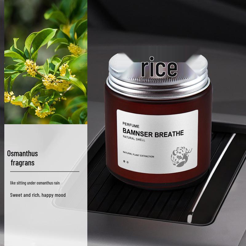 Мужской долговечный твердый бальзам для ароматерапии в автомобиль