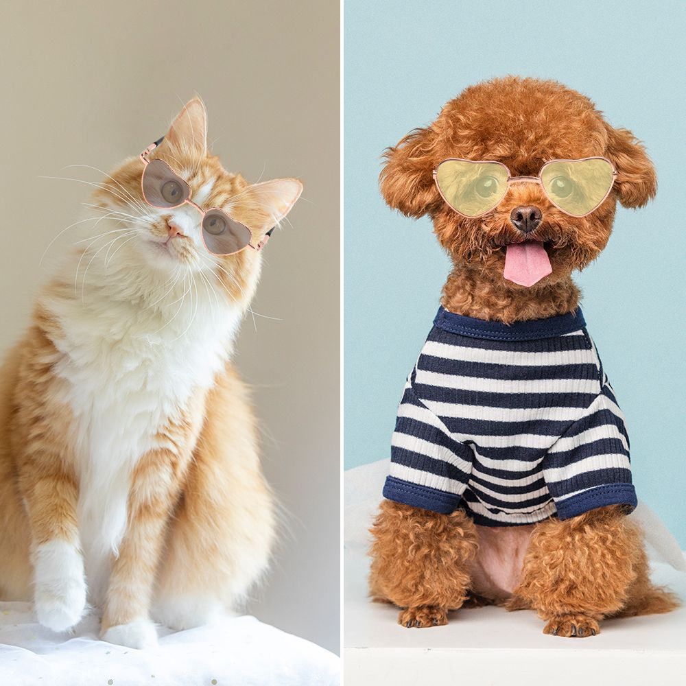 Опора для фотосессии, костюм для косплея, вечеринки, кошки, маленькие собаки, очки для собак, очки для кошек, металлические солнцезащитные очки в форме сердца