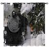 Curtain Retro Train Series 3D Digital Printing High Density Shading
