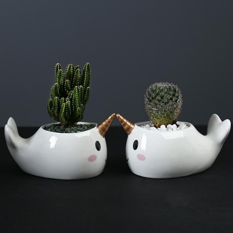 Cute Cartoon Animal Dolphin Succulent Flower Pot Creative Desktop Plant Decoration Ceramic Flower Pot