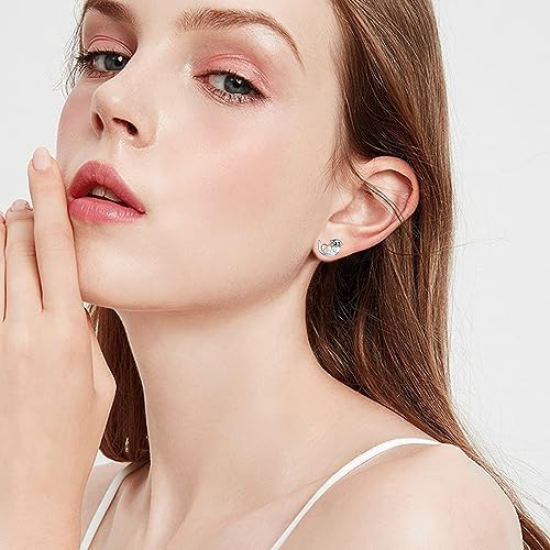 Dinosaur Elephant Butterfly Stud Earrings 925 Sterling Silver Animal Earrings Raccoon Snake Guinea Pig Duck Otter Jewelry Gifts for Girls Women