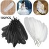 100 Pcs/Set For Crafts 6-8 Inches Nature Diy Decor Party Accessories Various Feather Goose Feathers