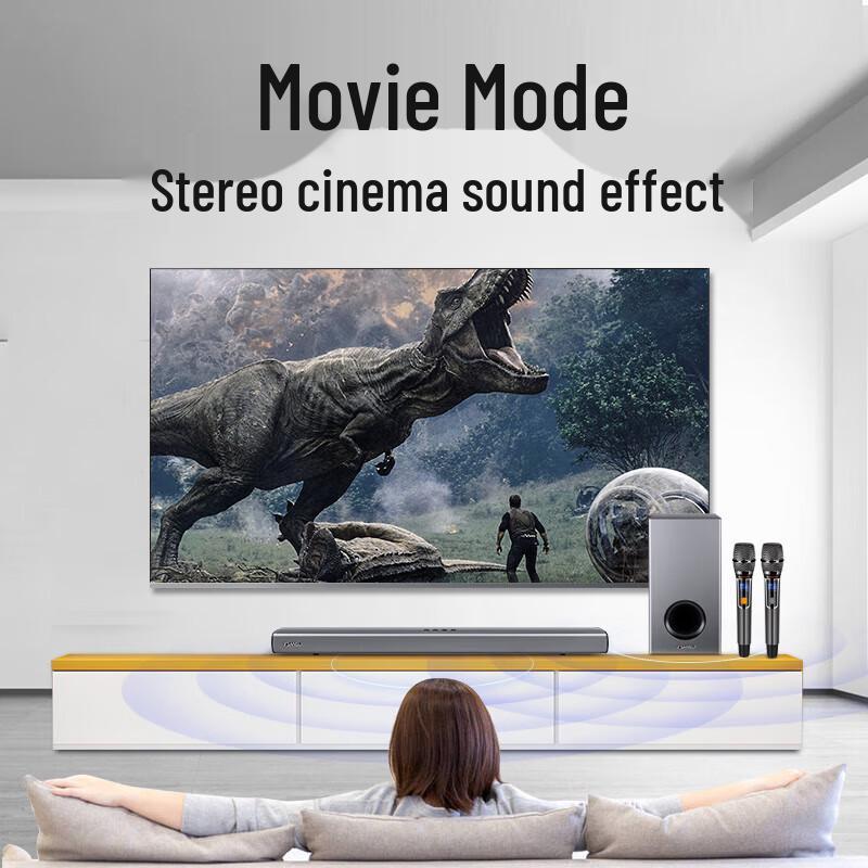 Звуковая панель для домашнего KTV Sanshui