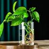 Прозрачная стеклянная ваза Стеклянные цилиндры Ваза подходит для различных композиций