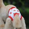 Puppy Shorts Cotton Physiological Pet Diaper Pants Dog Sanitary Pants Dog Clothes Pet Supplies