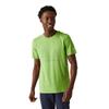 Regatta Mens Breezed IV Tree T-Shirt