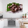 Five piece picture canvas print Coffee bean leaf
