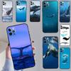Чехол Голубой Кит Для Xiaomi Redmi Note 14 13 10 11 12 15 Pro Plus Чехол Для Redmi 15 13C 12C 10C 14C 15C