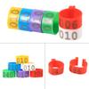 Bird Leg Rings Poultry Leg Bands 6Colors /Bag 16MM 001-100 Numbered Plastic Poultry Chickens Ducks Goose Leg Bands Rings