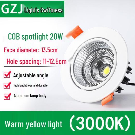 Recessed 20W Spotlight Downlight for Clothing Stores, 15-30W Commercial Ceiling Light