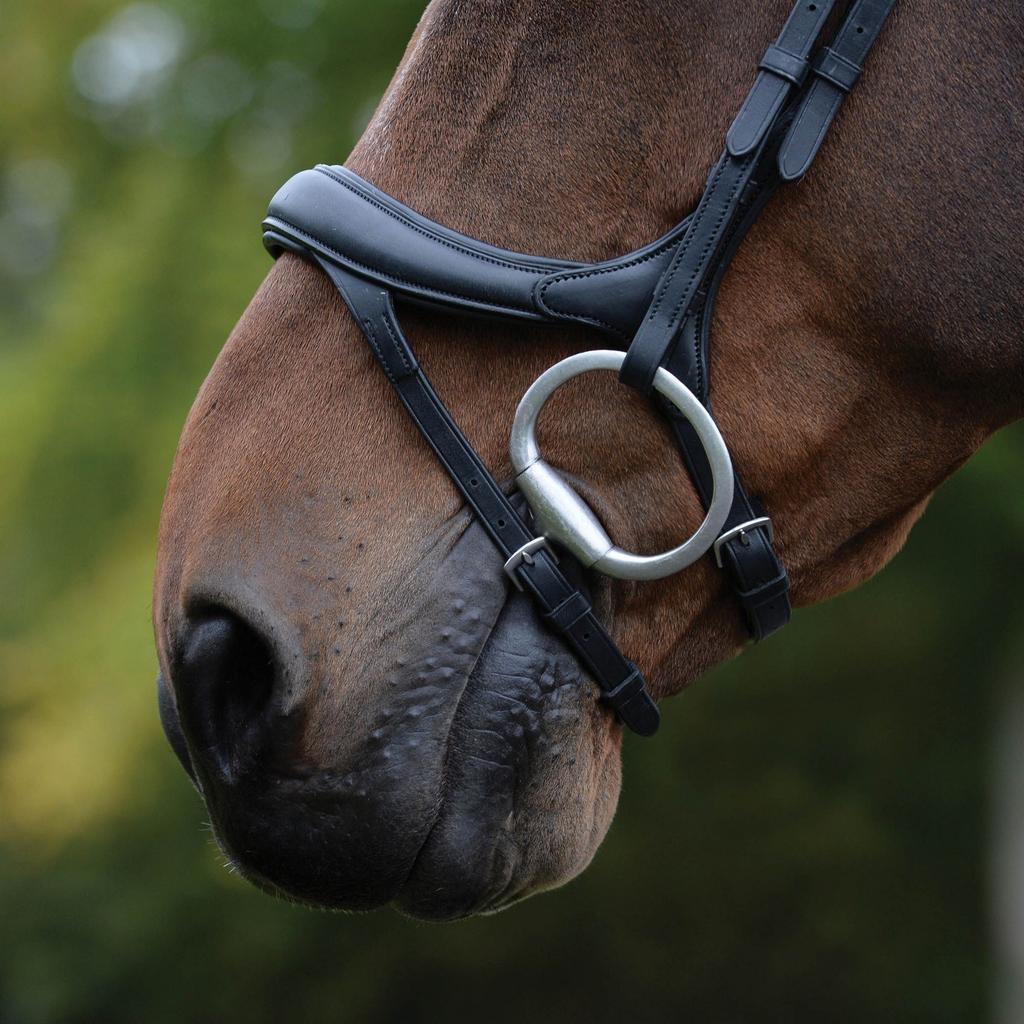 Collegiate Comfitec Vogue Leather Horse Bridle