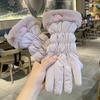 Plush Down Cotton Gloves New Winter Fleece Cold Weather Gloves Cotton Thickened Warm Women's Gloves Touch Screen Ski Gloves