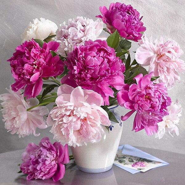 50X50CM 5D Diy Алмазная картина Мышь Животное Алмазная вышивка Мозаика Печенье Вышивка крестиком Домашнее искусство Ручная работа