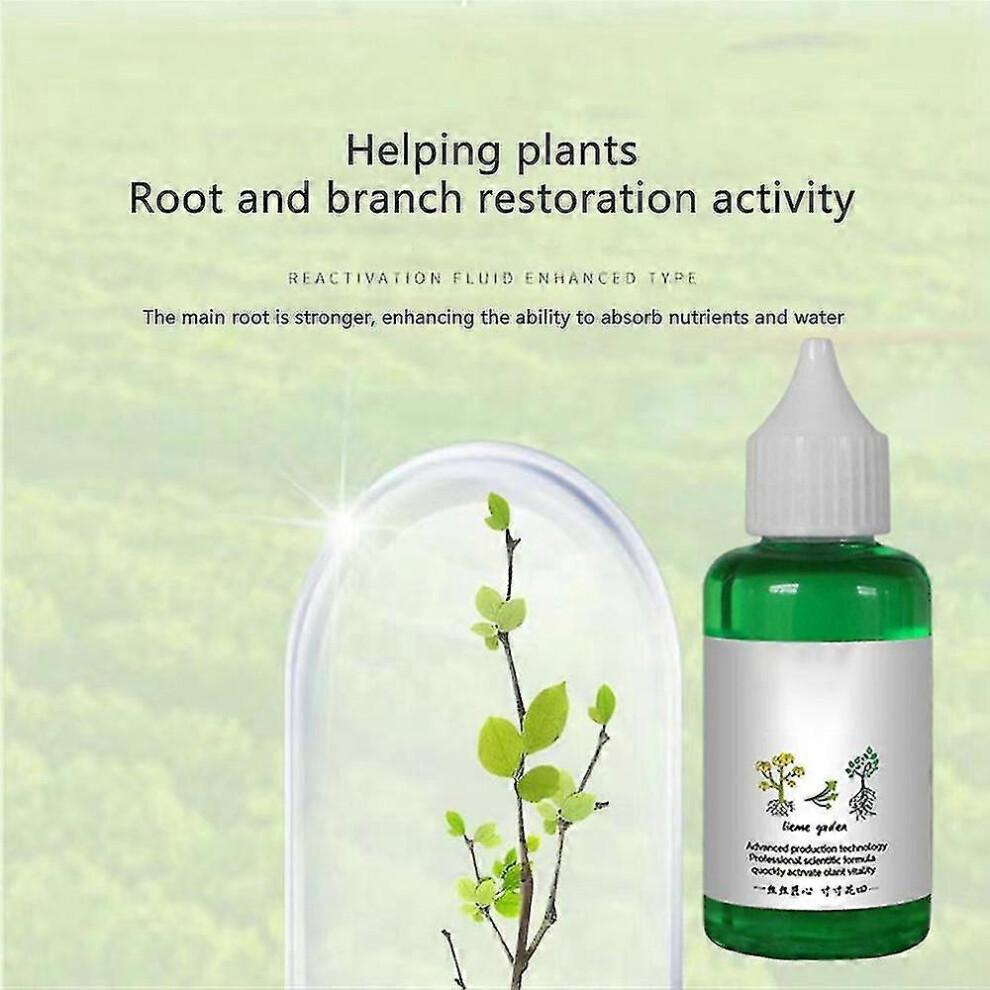 (3pcs)1-3Pcs Plant Growth Activator Liquid, Flower Booster Supplement, Root Stimulator, Liquid Fertilizer for Seedlings and Plants