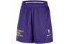 Баскетбольные шорты Los Angeles Lakers Мужские Полностью фиолетовые DX9700-504