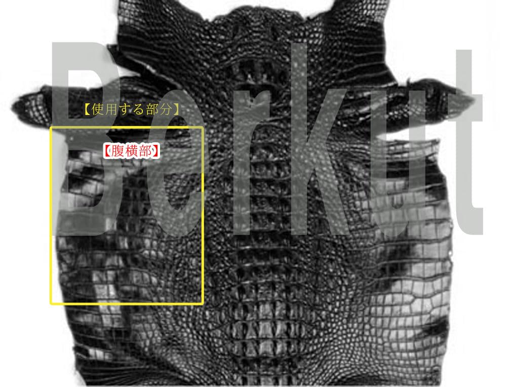 Bercute Green Crocodile Tri-fold Wallet for Men and Women, Mini, Slim, Compact, Foldable, Genuine Leather, Alligator Skin, Compact, Large Capacity,