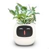 Smart Flowerpot Planter Robot Guidance Interaction Fun Gardening Pot AI for Living Room Gift