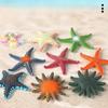 Custom Cute Starfish Miniature Figurine Charm Glass Pendant Colorful Tiny Sea Star Fish Ornament Aquarium Decoration Accessories