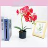 Simulated Phalaenopsis Potted Artificial Flower For Wedding Decor And Indoor Display