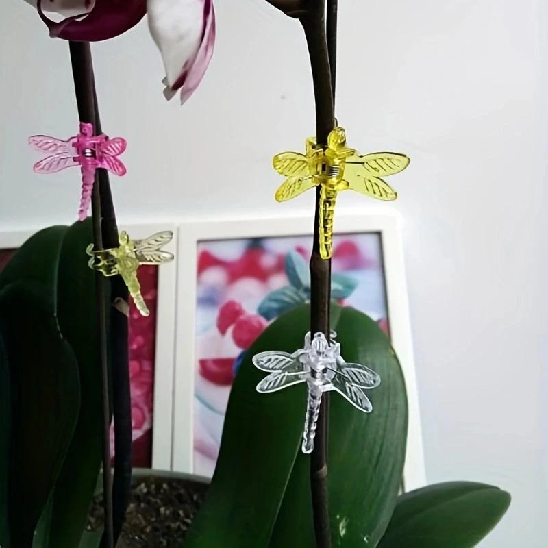 6 шт.- Пластиковые зажимы для орхидей, садовые зажимы для растений в виде стрекоз и бабочек для поддержки, для украшения цветочных лоз, декоративные зажимы, смешанные