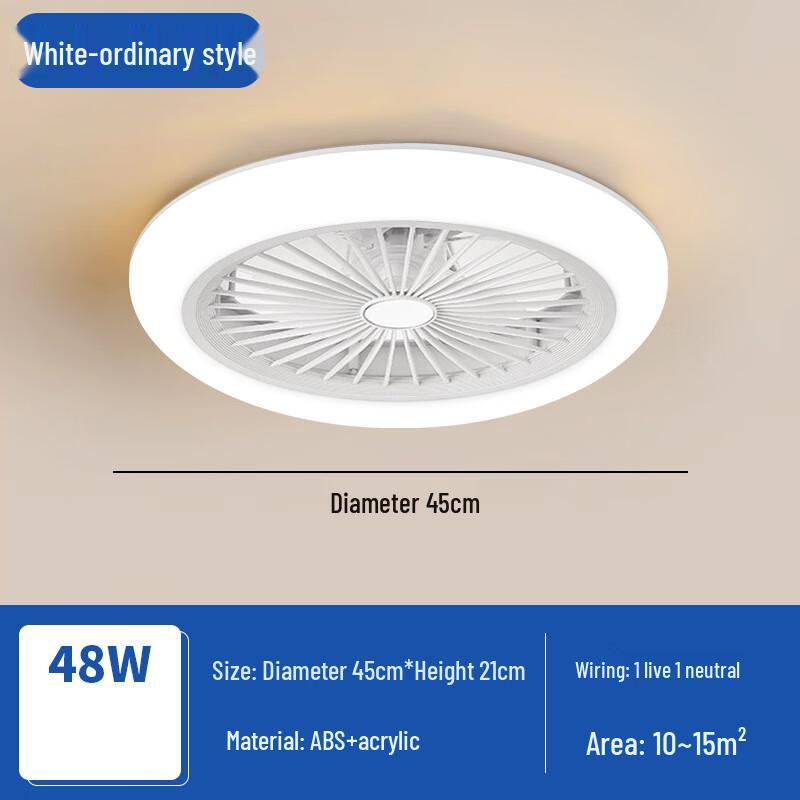 Modern Minimalist Inverter Ceiling Fan with LED Light