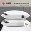 Star Hotel Soft Fiber Pillow