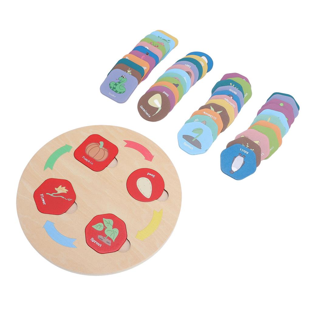 Wooden Life Cycle Toy Tray for Toddlers Educational Science Learning Activities Sorting Matching