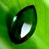 Natural Green Sapphire Loose Gemstone 6.80 ct Marquise Cut September Birthstone for Gem Collections