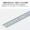 KOKUYO Ruler Real Ruler 15cm Stainless Steel TZ-DARS15