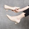 Pointed High Heels Women's Spring New Simple Temperament Thin Heel Shallow Mouth Single Shoes Professional Commuter Women's Work Shoes