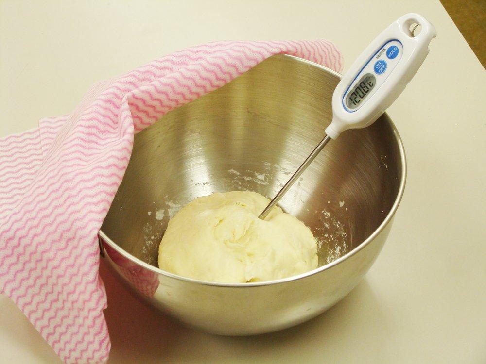 Tanita Cooking Thermometer White Waterproof WH Stick Thermometer TT-508