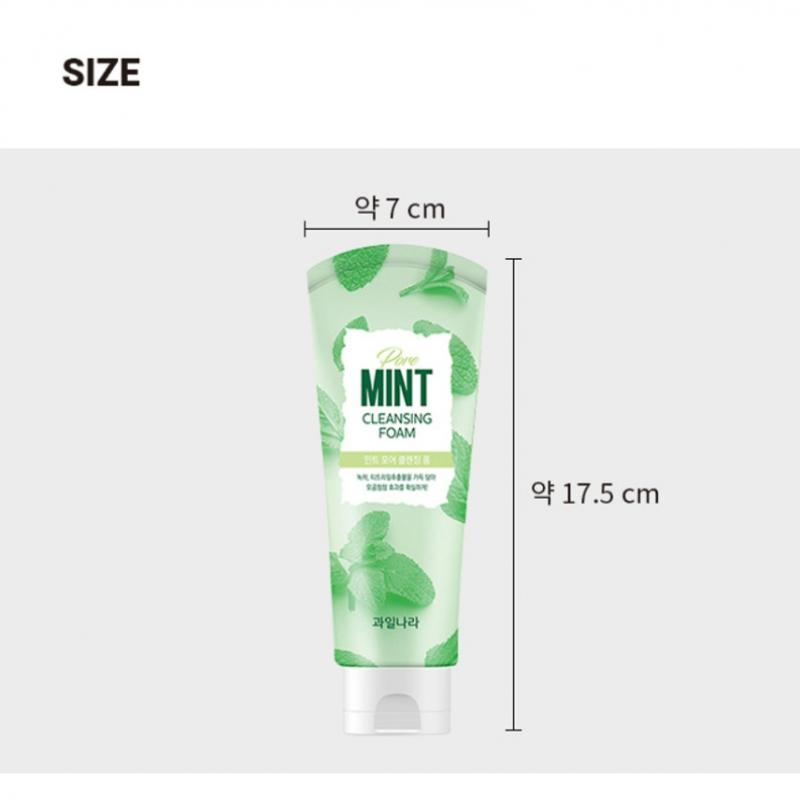 Fruit Country Seasonal Mint Pore Cleansing Foam 130g