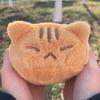 Большая плюшевая игрушка-кот оранжевого цвета Кавайная плюшевая киска Подушка-плед Мягкая плюшевая кукла-кот Игрушка Декор для дома Подарок на день рождения для друзей