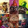 5D DIY Алмазная картина Волшебная шляпа Сова Алмазная вышивка Набор для вышивки крестом Полный горный хрусталь Мозаика Домашний декор