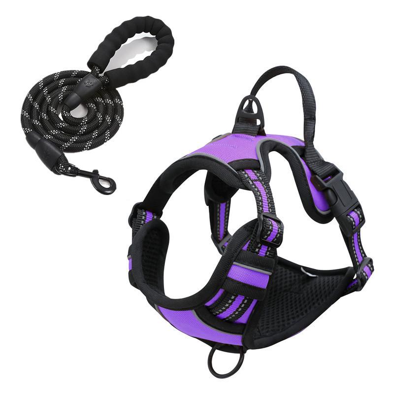 Светоотражающая двухслойная шлейка для собаки и комплект поводка с ошейником на пряжке