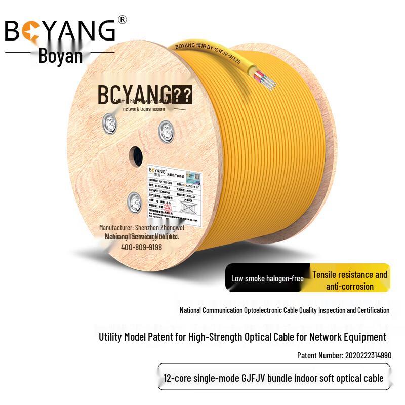 BOYANG GJFJH Single-Mode Indoor Fiber Optic Cable