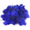 100PCS Bulk Natural Guinea Fowl Pheasant Feathers for Crafts Jewelry Making Dream Catcher DIY Party Wedding Decor Accessories