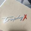 Trophy X logo, suitable for MG TrophyX modified rear logo, metal letter label