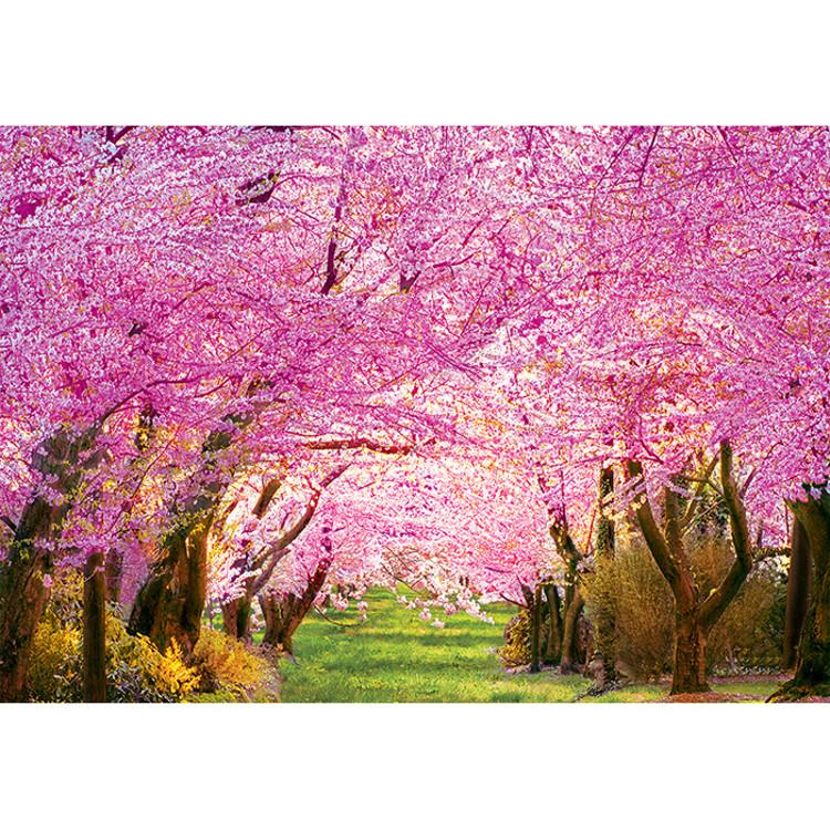 Пазл из 1000 деталей - Cherry Blossom Road, популярная корейская головоломка