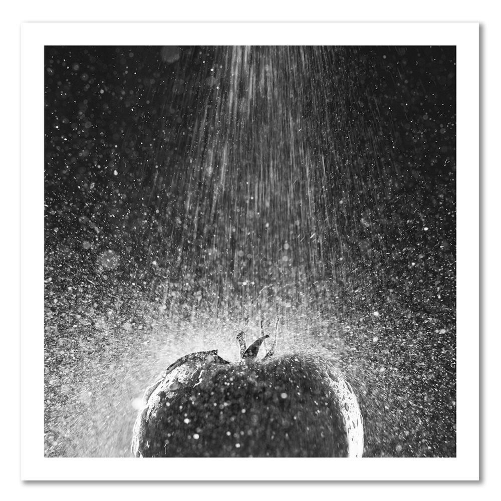 Canvas print, Tomato in a stream of water nature