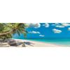 Puzzles 1000 pièces - Clementoni - High Quality Collection - Panorama - Swinging by the Oc - 98x33cm - Poster Inclus