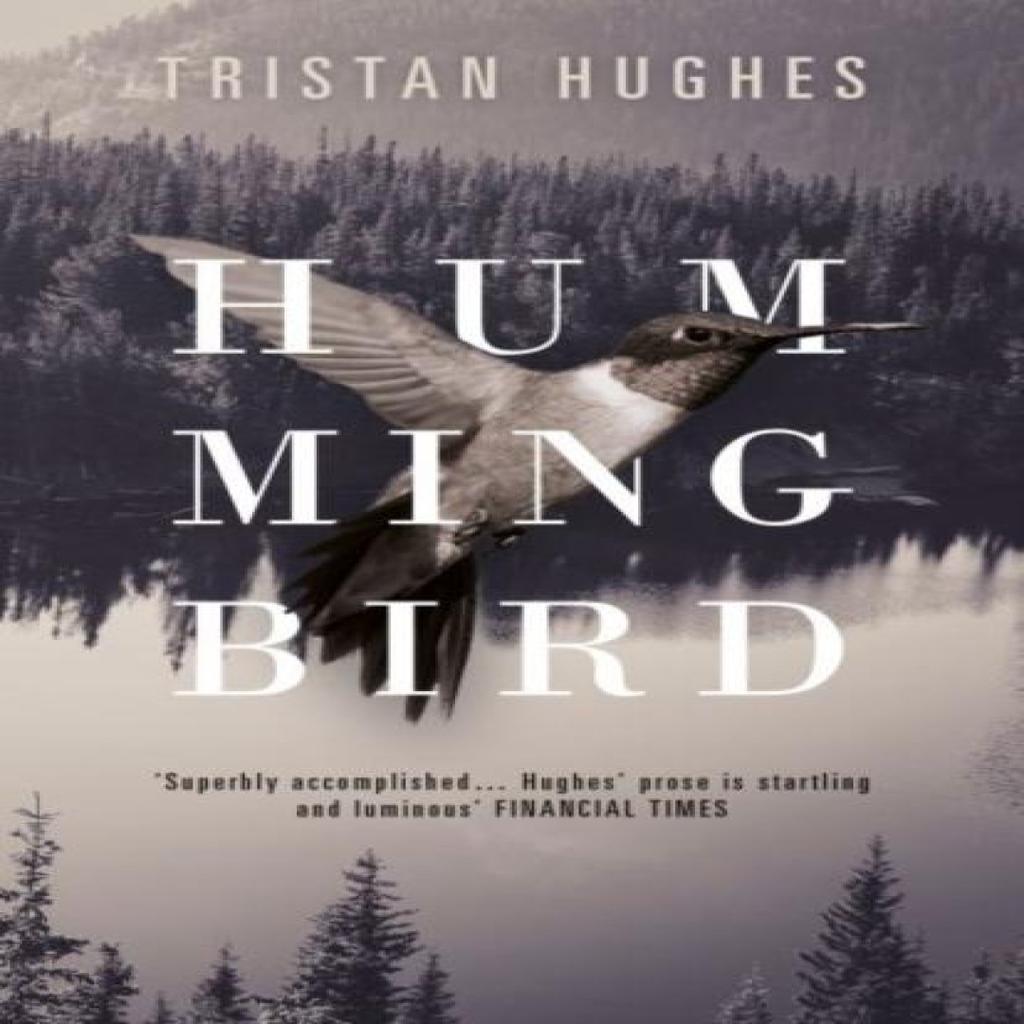 Hummingbird by Tristan Hughes Hardback Book 9781910901908