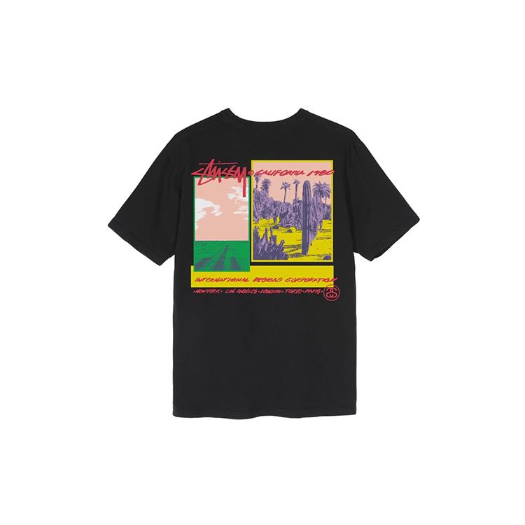 Stussy Palm Desert Pigment Dyed Long Sleeve Tee 1904563