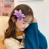 Женская летняя заколка для волос в форме цветка, имитация цветка, заколка для волос в стиле бохо, свадебная челка, заколка для волос, аксессуары для волос
