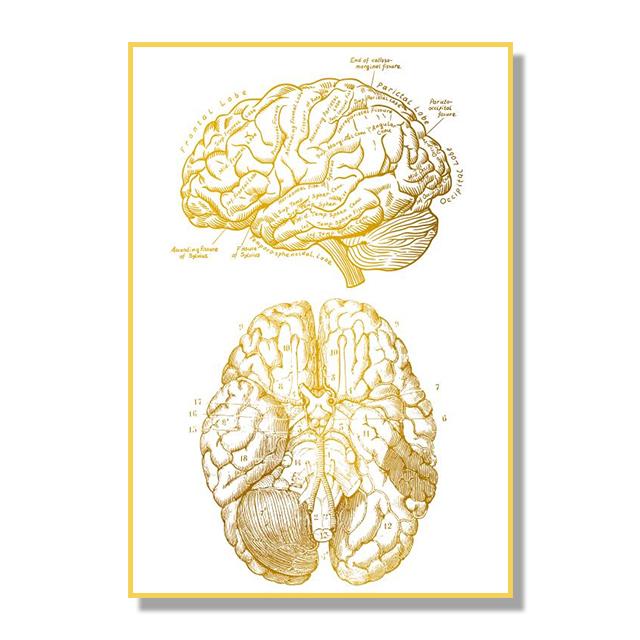 Структура костной ткани органов человека Плакат Золотой скандинавский ретро стиль Картина на холсте Гостиная Настенные художественные принты Современный домашний декор Без рамки