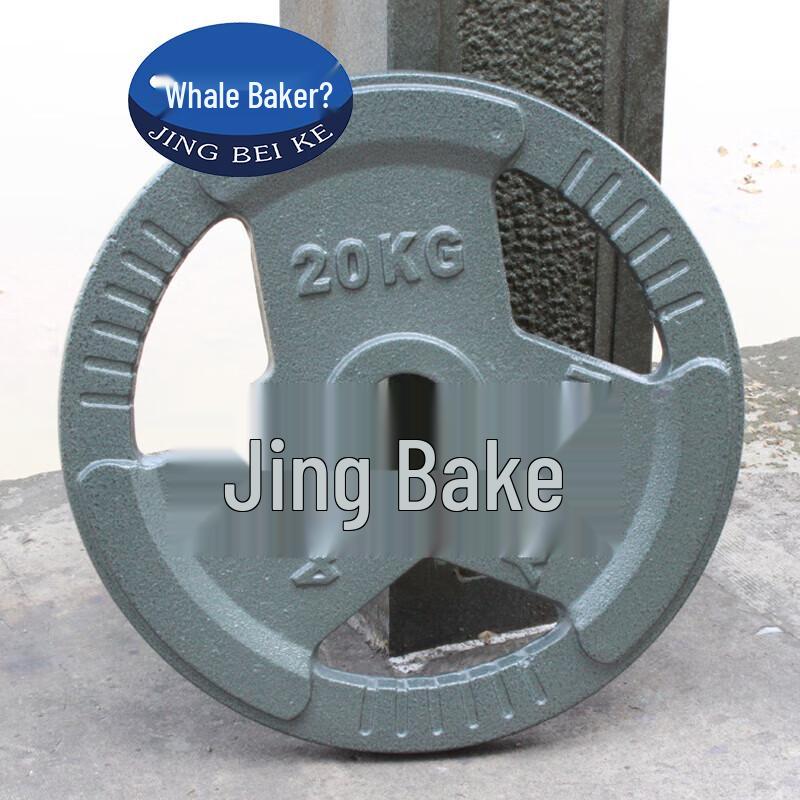 Painted Cast Iron Barbell Weight Plate